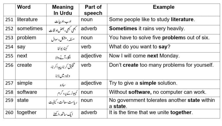 software meaning in Urdu