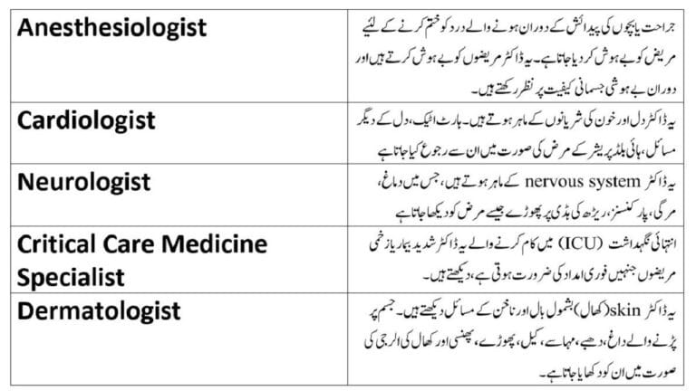 Types of doctors in Urdu