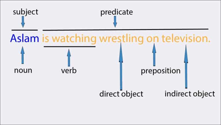 Subject and Predicate example from what is subject