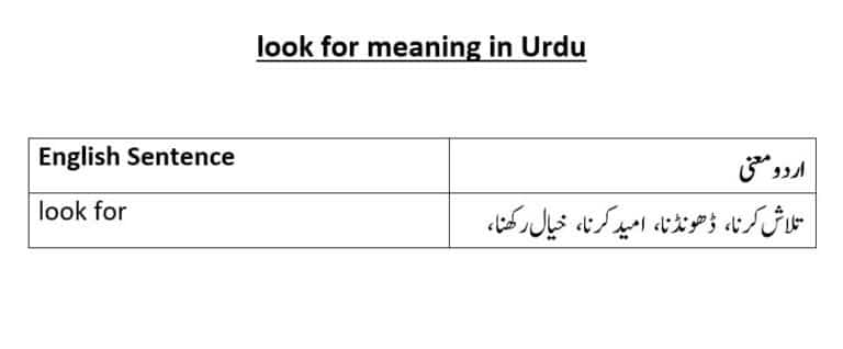 look for meaning in Urdu