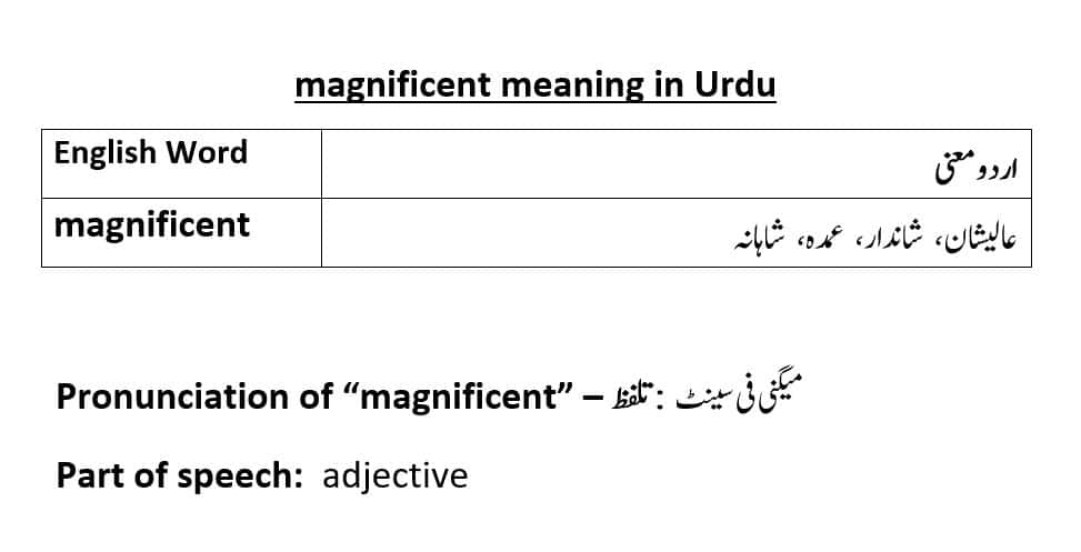 magnificent meaning in Urdu with examples and pronunciation