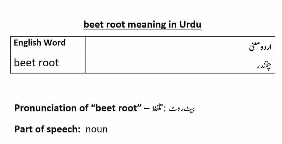 beetroot, beet root, and beet meaning in Urdu with examples